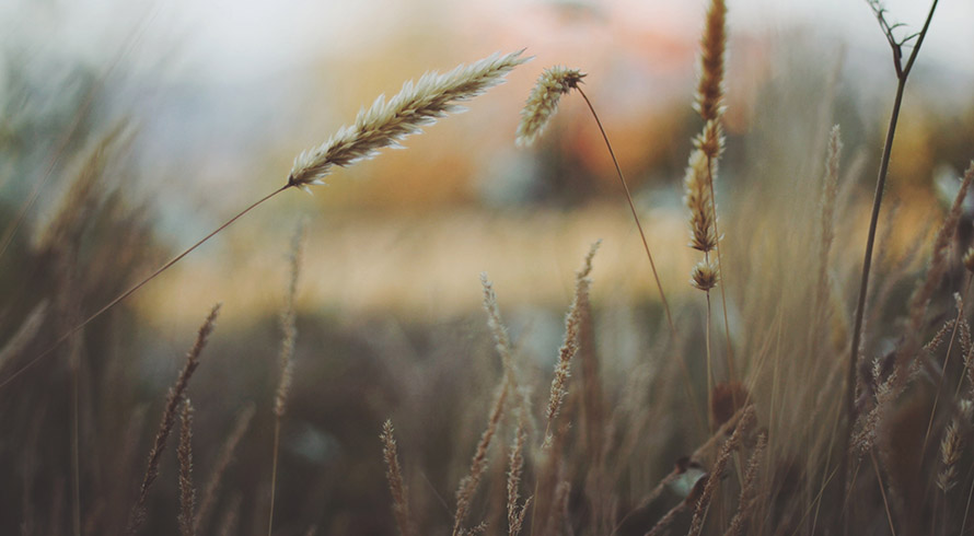 slideshow-hipster-post-2
